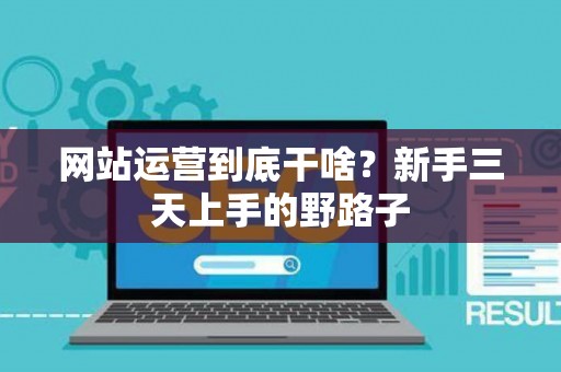 网站运营到底干啥？新手三天上手的野路子